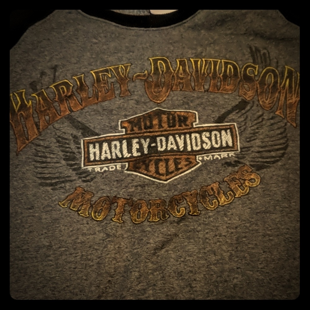 Harley Davidson sweatshirt